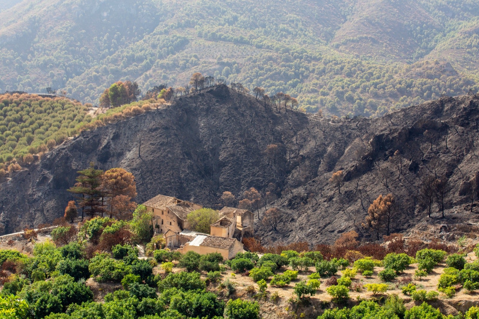 Así ha quedado la zona de Los Guájares tras el gran incendio