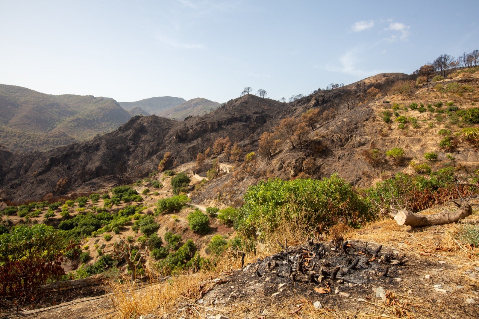 Así ha quedado la zona de Los Guájares tras el gran incendio