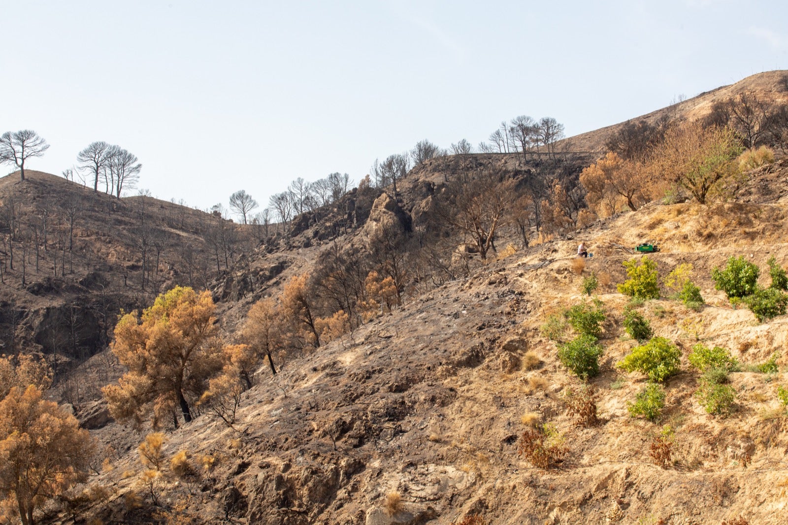 Así ha quedado la zona de Los Guájares tras el gran incendio