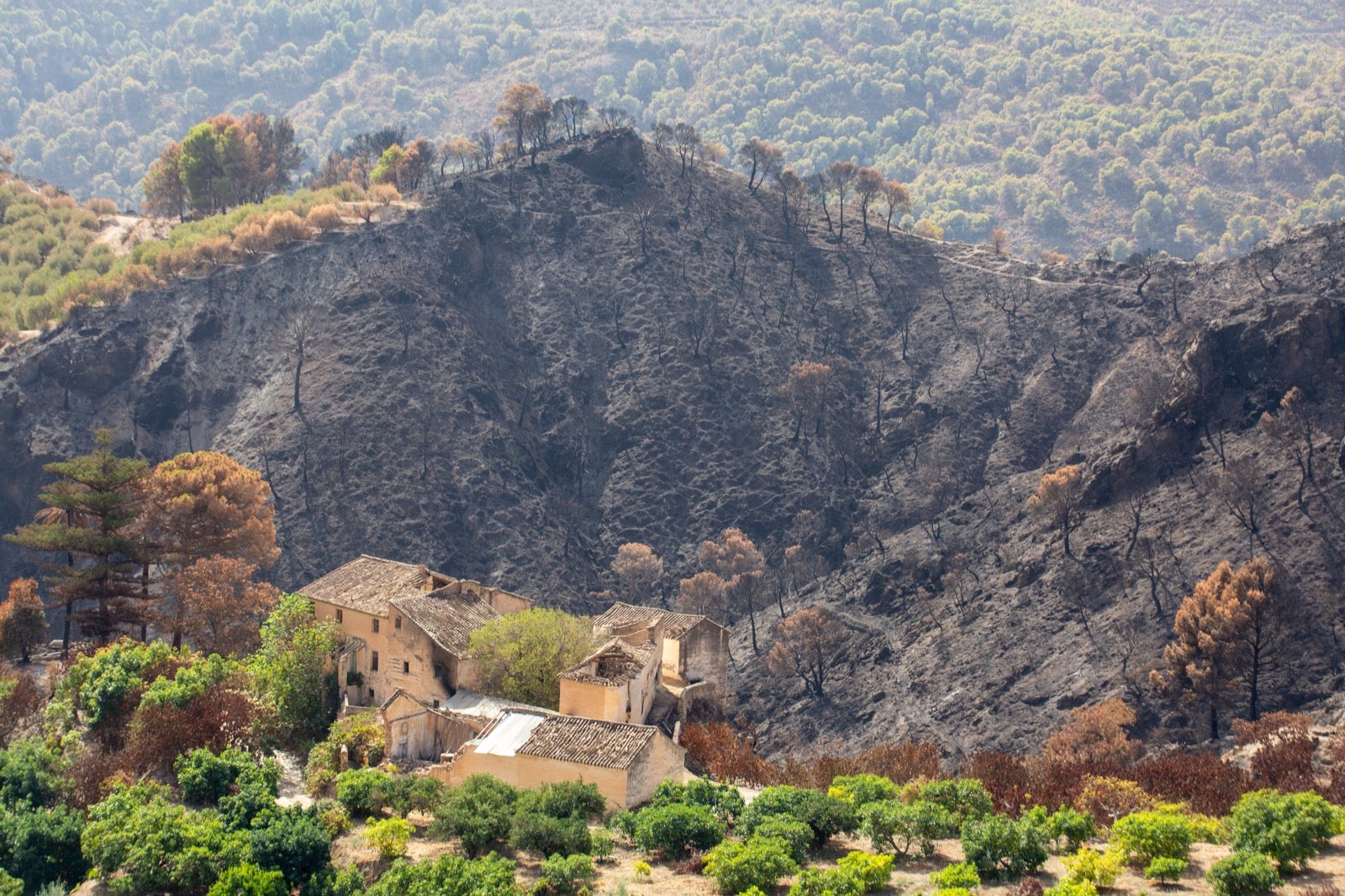 Así ha quedado la zona de Los Guájares tras el gran incendio