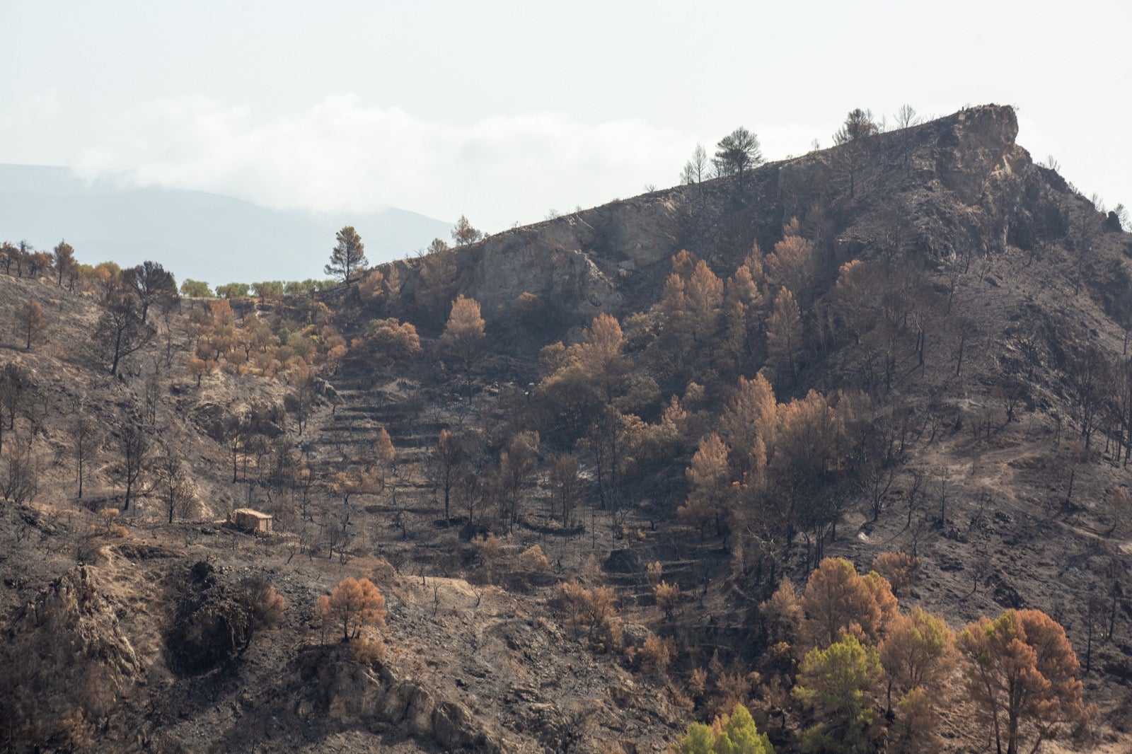 Así ha quedado la zona de Los Guájares tras el gran incendio