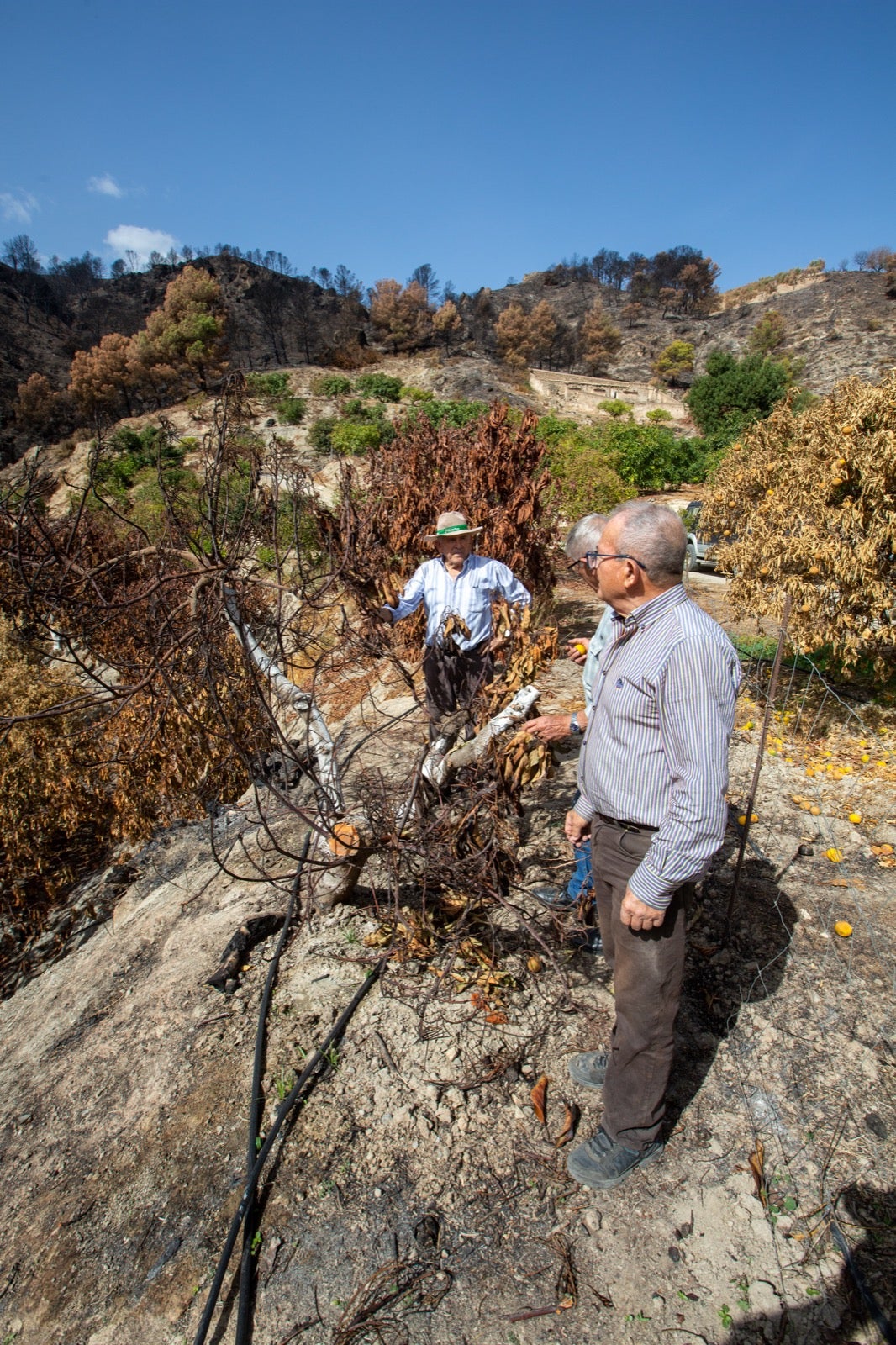 Así ha quedado la zona de Los Guájares tras el gran incendio