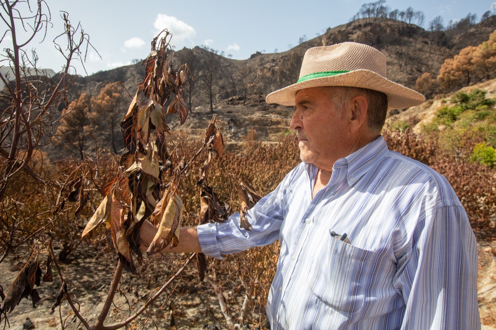 Así ha quedado la zona de Los Guájares tras el gran incendio