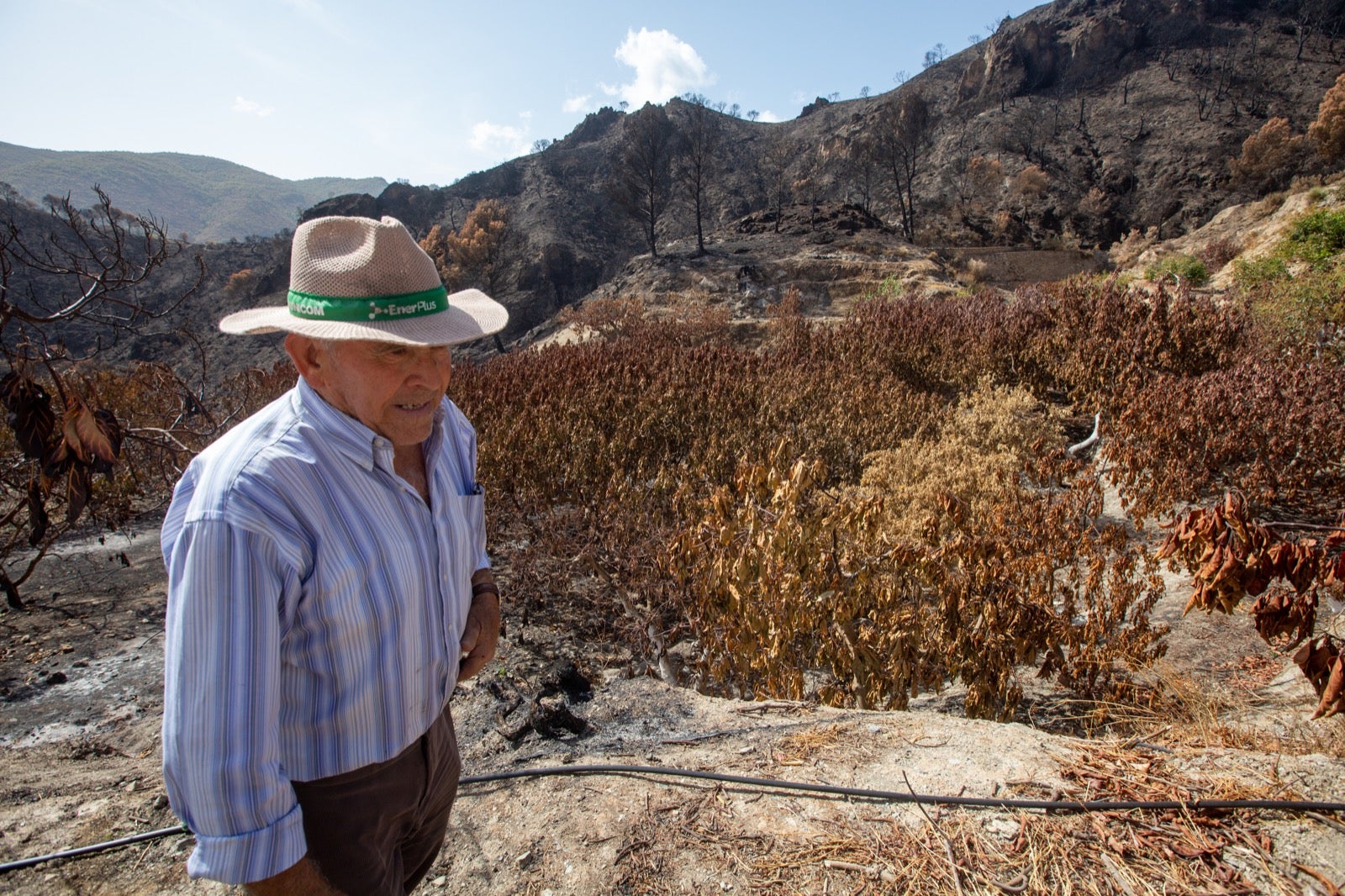 Así ha quedado la zona de Los Guájares tras el gran incendio