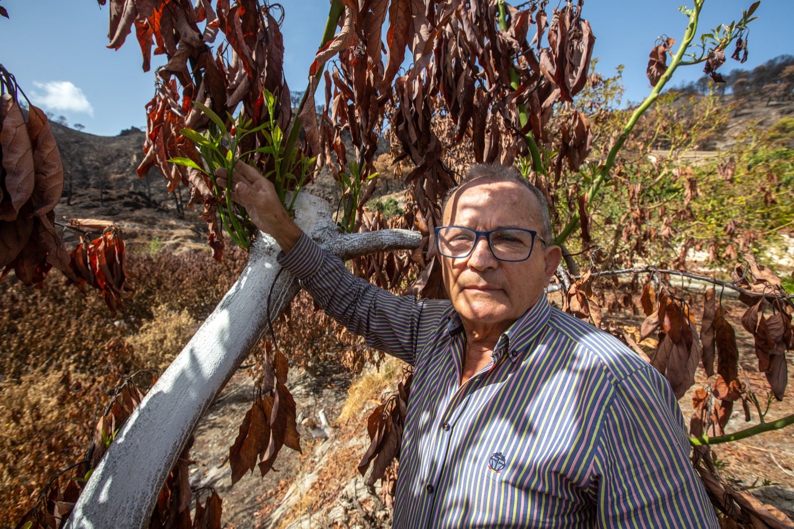 Así ha quedado la zona de Los Guájares tras el gran incendio