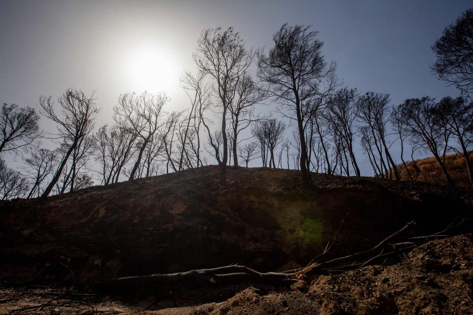 Así ha quedado la zona de Los Guájares tras el gran incendio