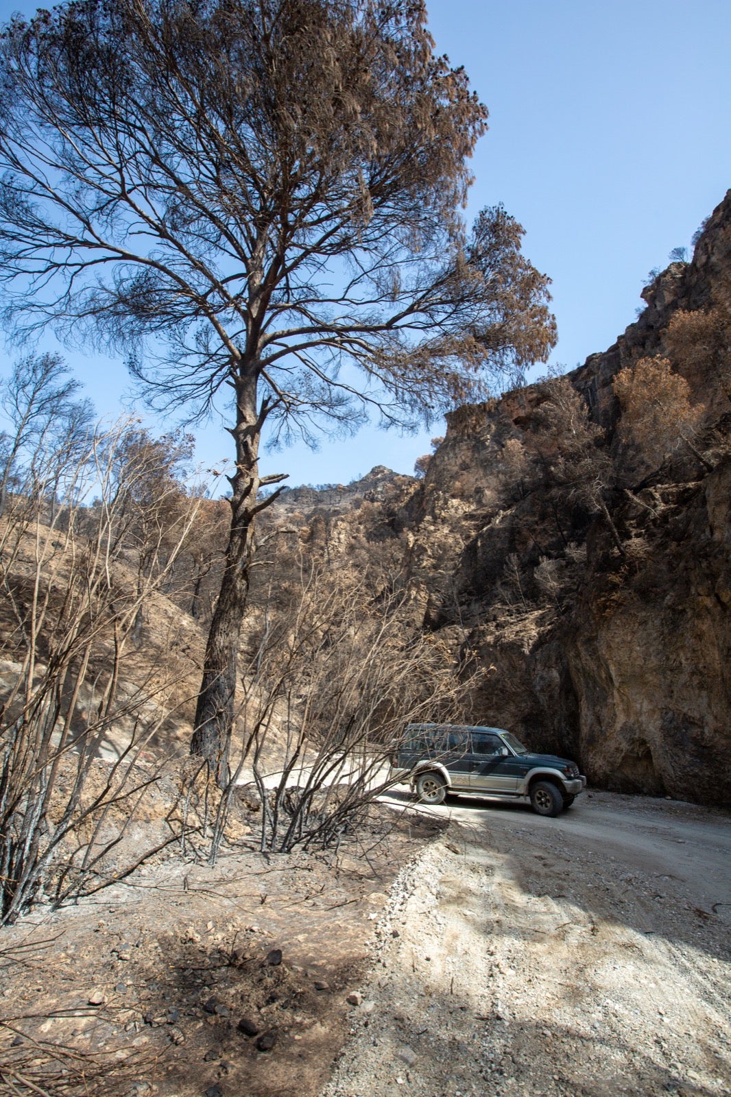 Así ha quedado la zona de Los Guájares tras el gran incendio