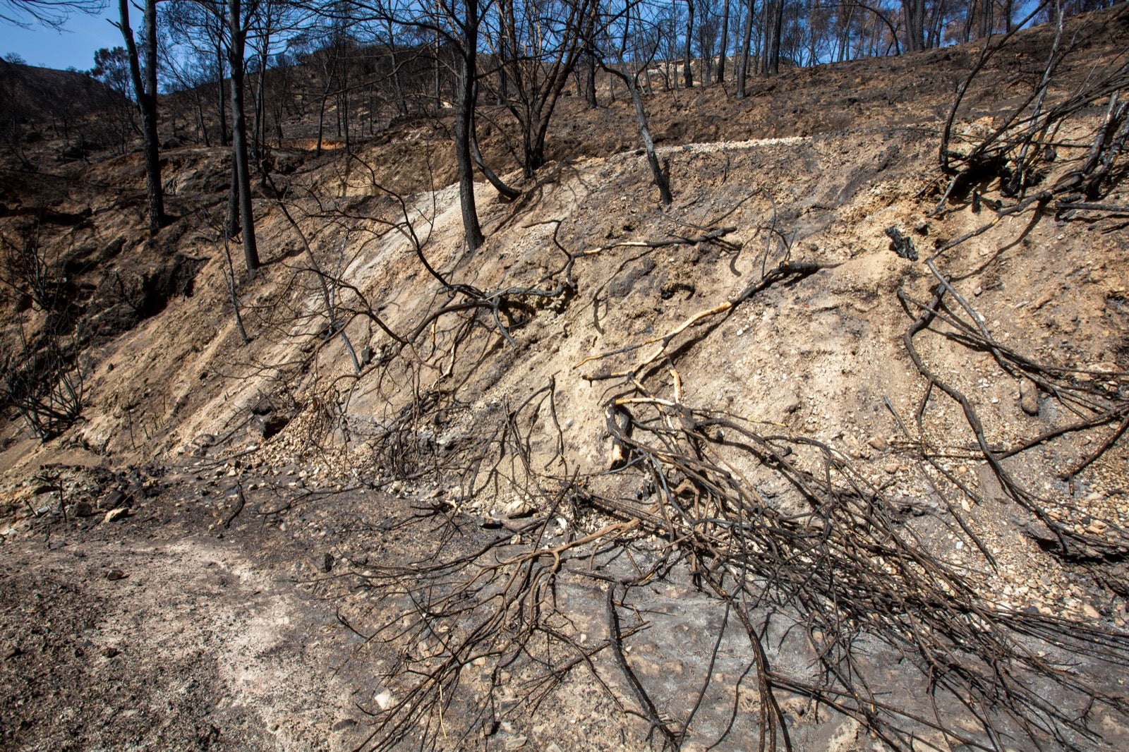 Así ha quedado la zona de Los Guájares tras el gran incendio