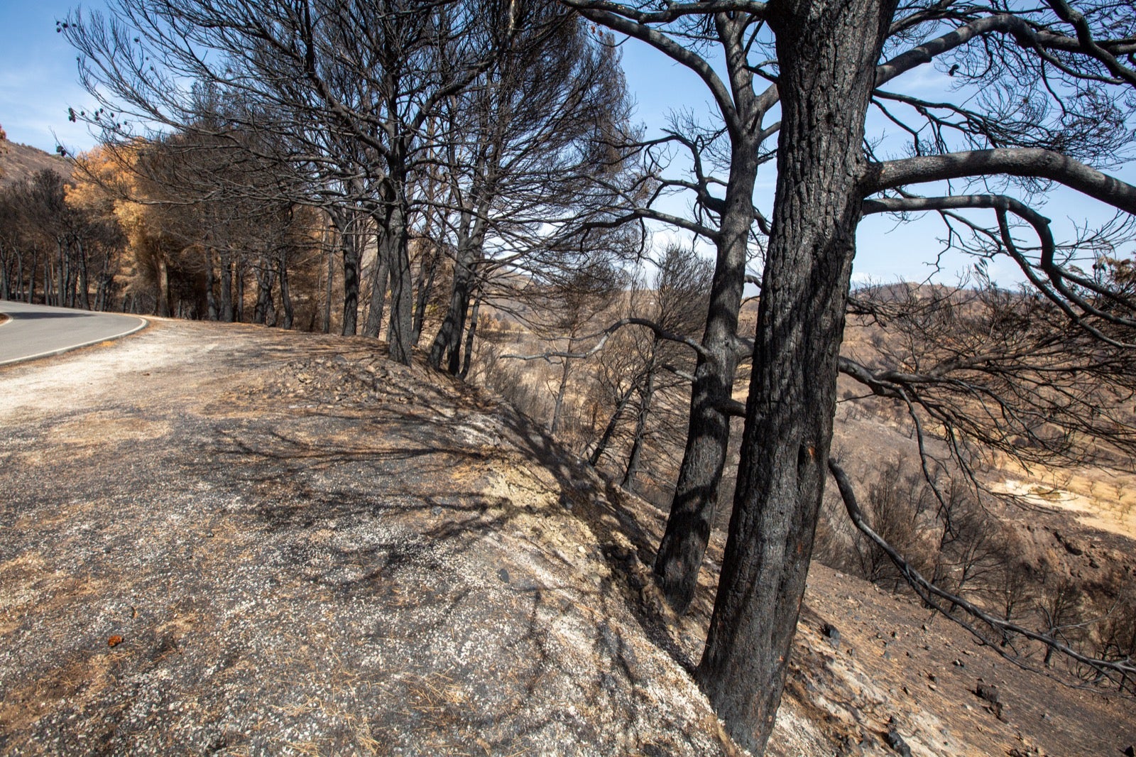 Así ha quedado la zona de Los Guájares tras el gran incendio