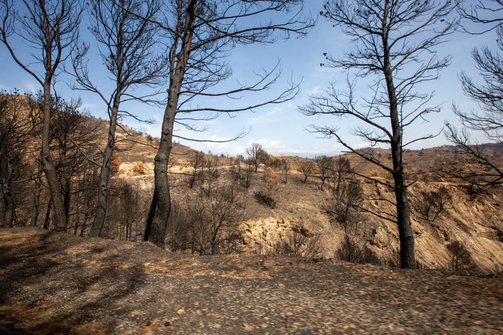 Así ha quedado la zona de Los Guájares tras el gran incendio