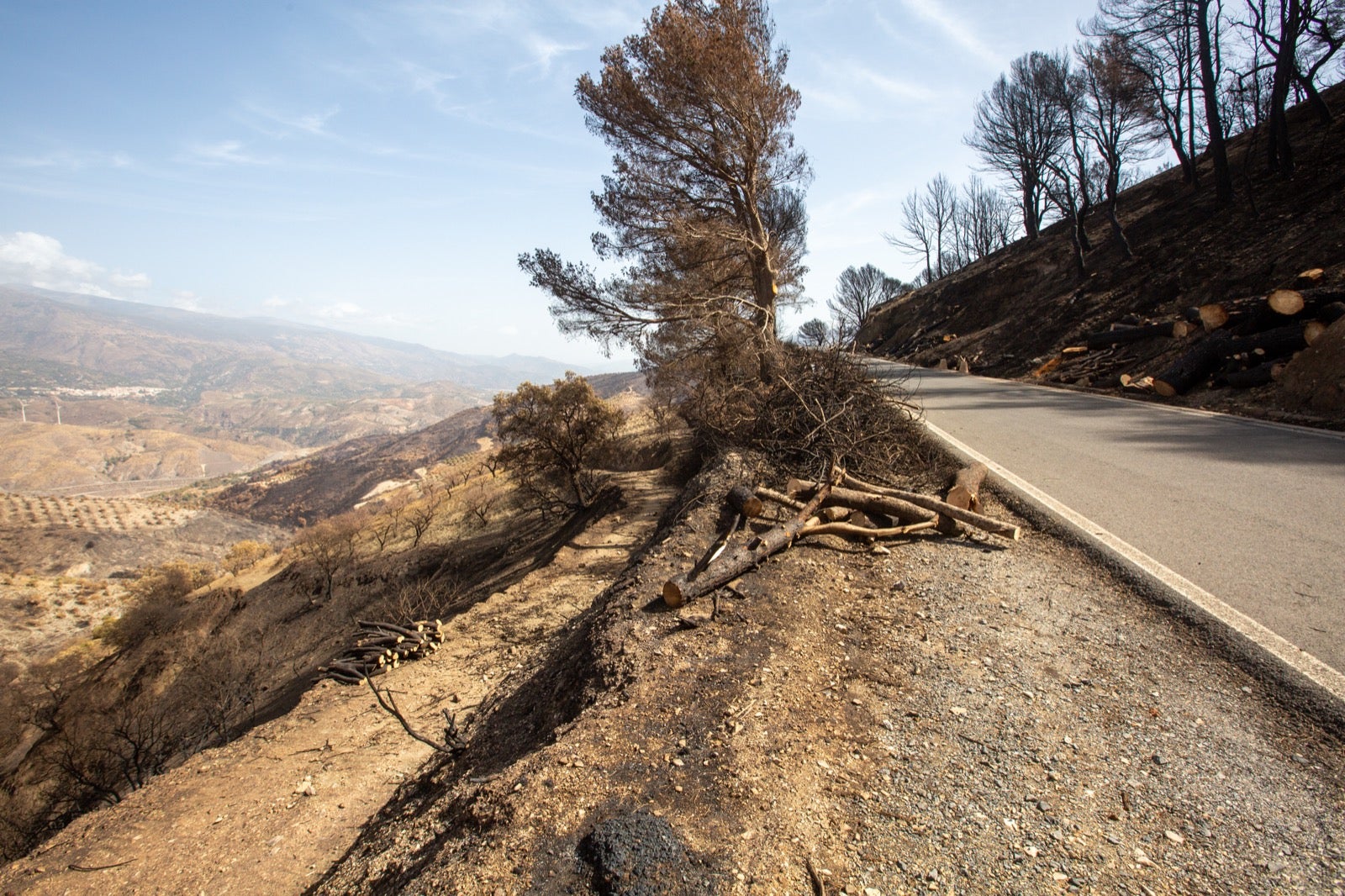 Así ha quedado la zona de Los Guájares tras el gran incendio