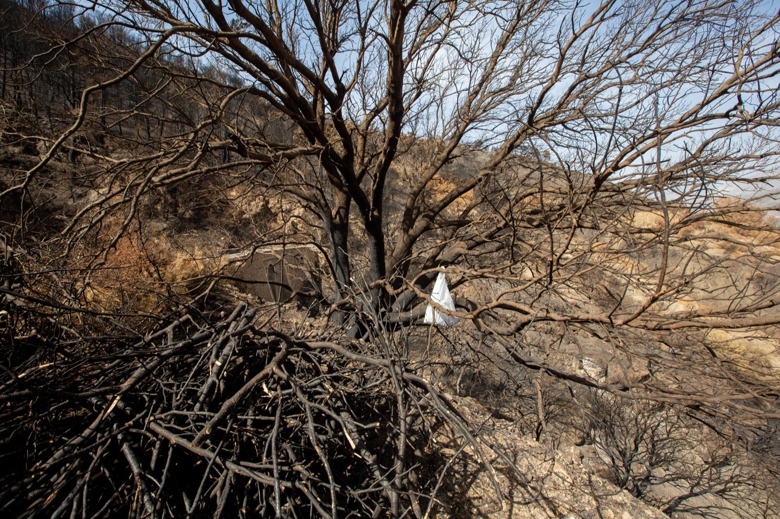Así ha quedado la zona de Los Guájares tras el gran incendio