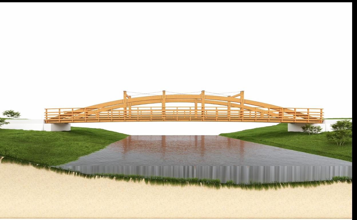 Proyeción del carril bici. 