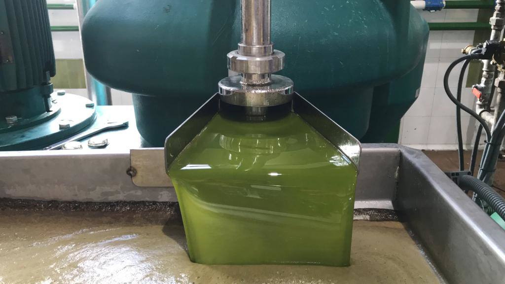 Aceite verde Puerta de Las Villas, del Parque de Cazorla, Segura y Las Villas. 