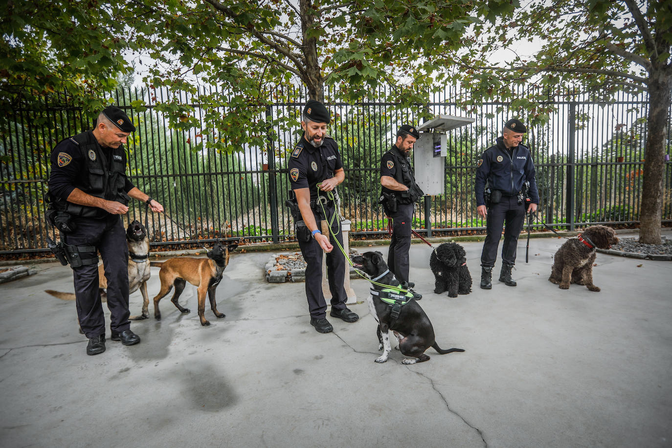 La Unidad Canina de Granada al completo. 