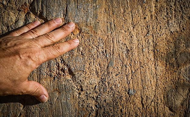 'Cicatrices' en la roca. 