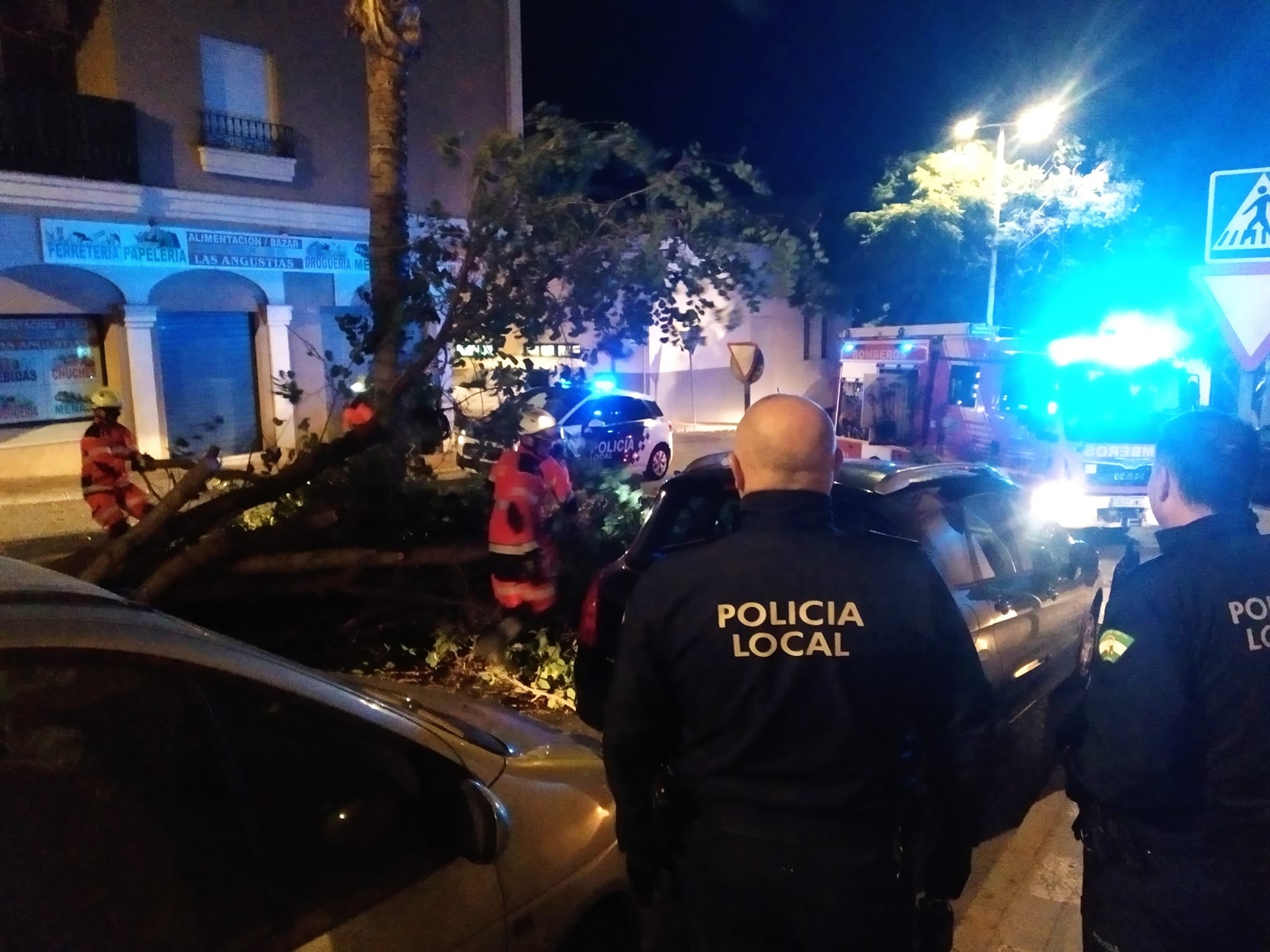 Árbol caído en Motril. 