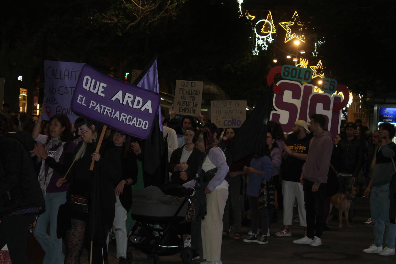 Cientos de almerienses han recorrido las calles de la capital por el Día Internacional Contra la Eliminación de la Violencia Machista.