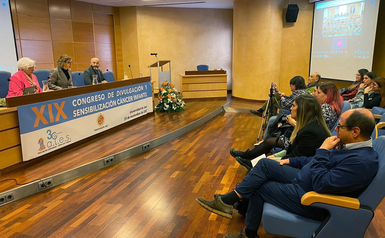 Jornada que ha tenido lugar en la Universidad de Jaén. 