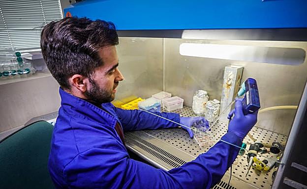 Alonso Rodríguez Caparrós, investigador del estudio.