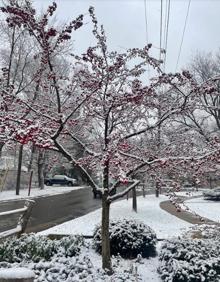 Imagen secundaria 2 - Lagos helados y nieve a menos diez grados en Wisconsin.