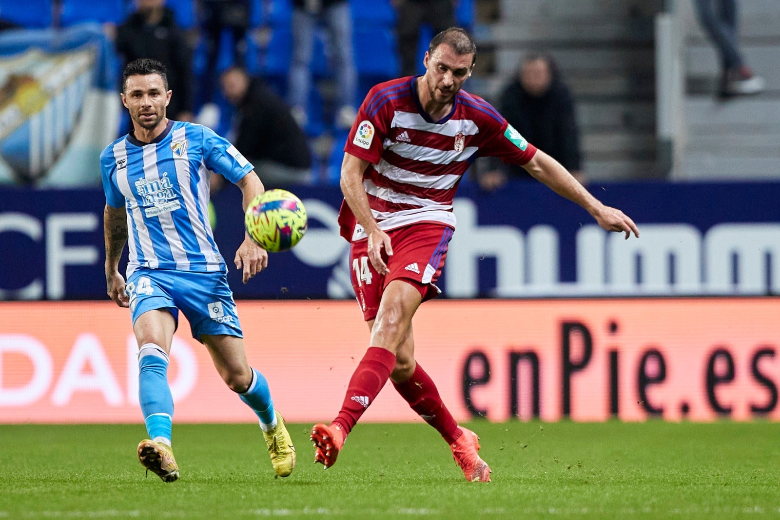 Las mejores imágenes del partido disputado en La Rosaleda