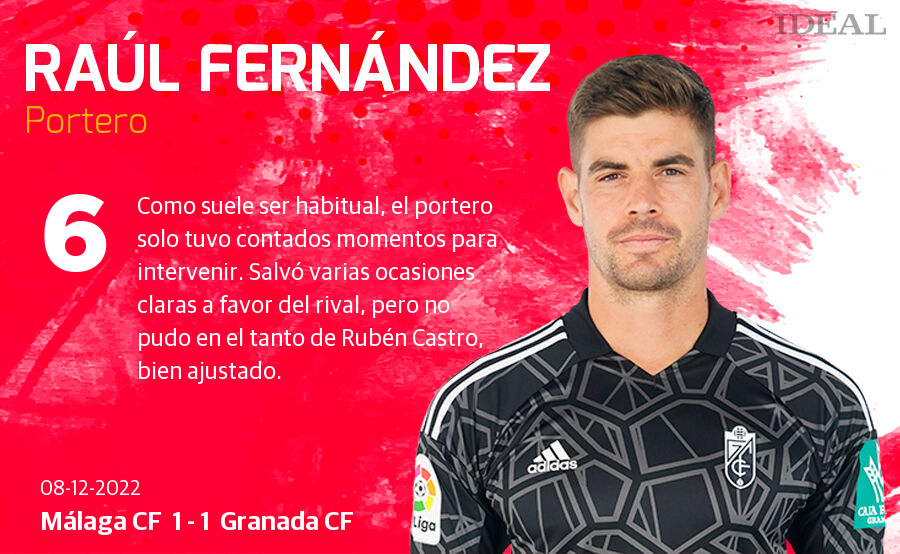 Estas son las notas de Ideal para los rojiblancos en el duelo de La Rosaleda.