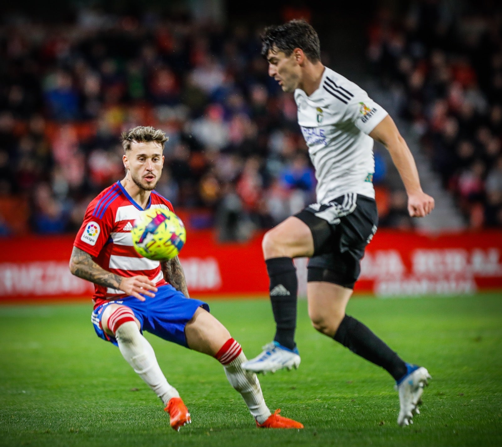 Las mejores imágenes del partido disputado en Los Cármenes