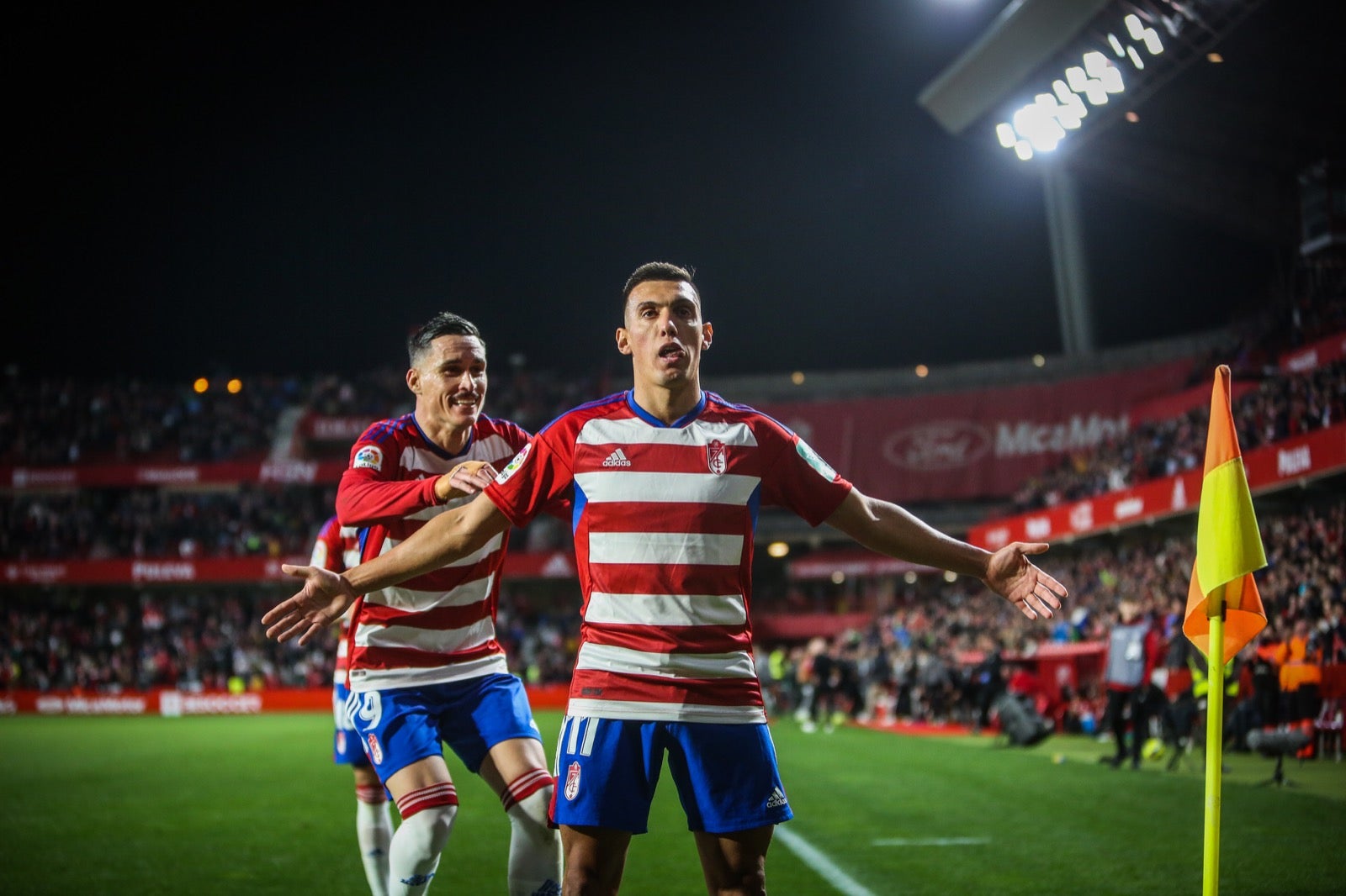 Las mejores imágenes del partido disputado en Los Cármenes