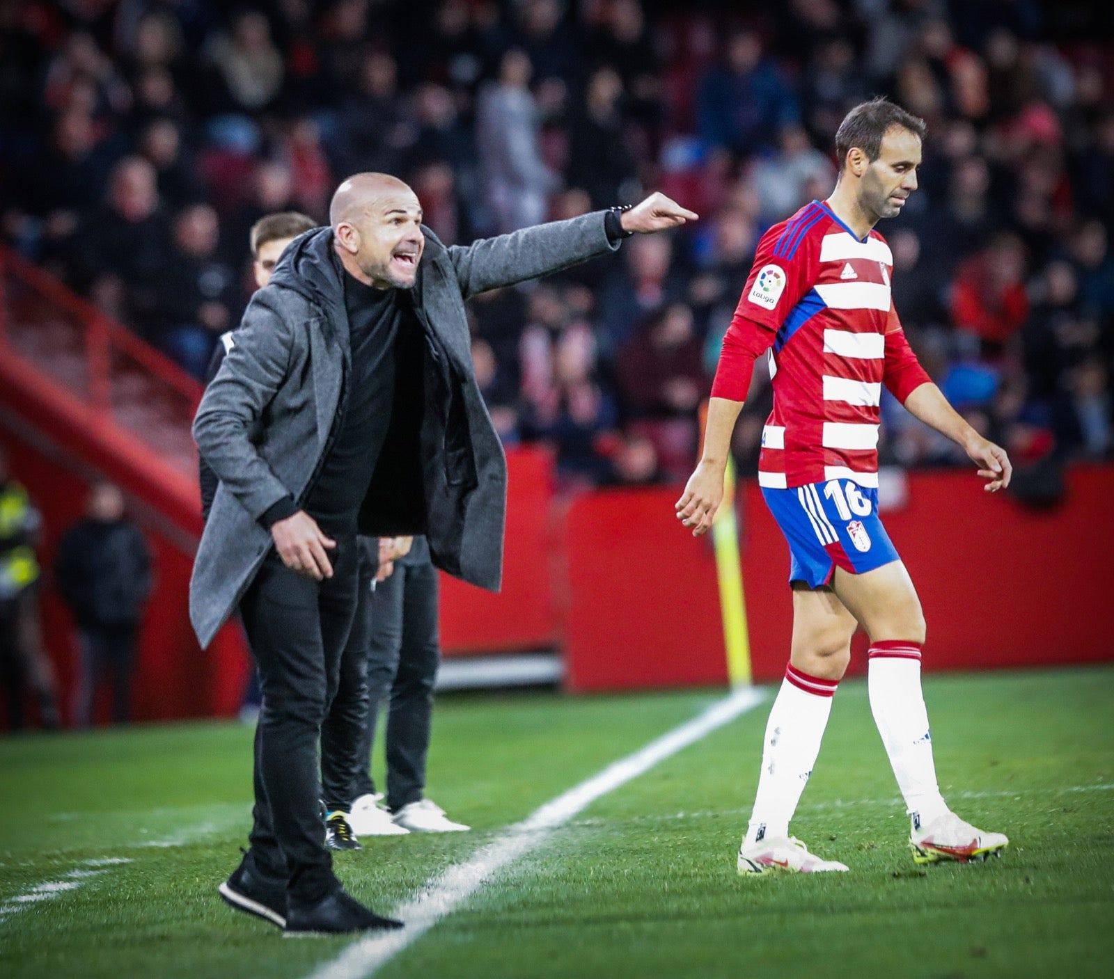 Las mejores imágenes del partido disputado en Los Cármenes