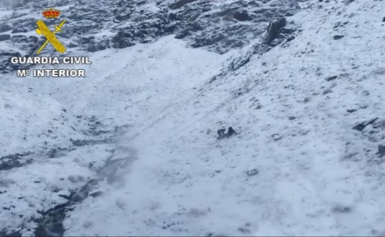 Momento de la evacuación del cádáver.