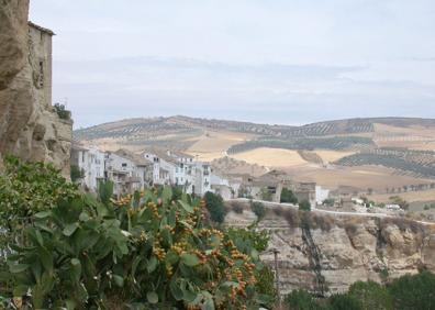 Imagen secundaria 1 - Los barrancos y vegetación del recorrido por los Tajos de Alhama.