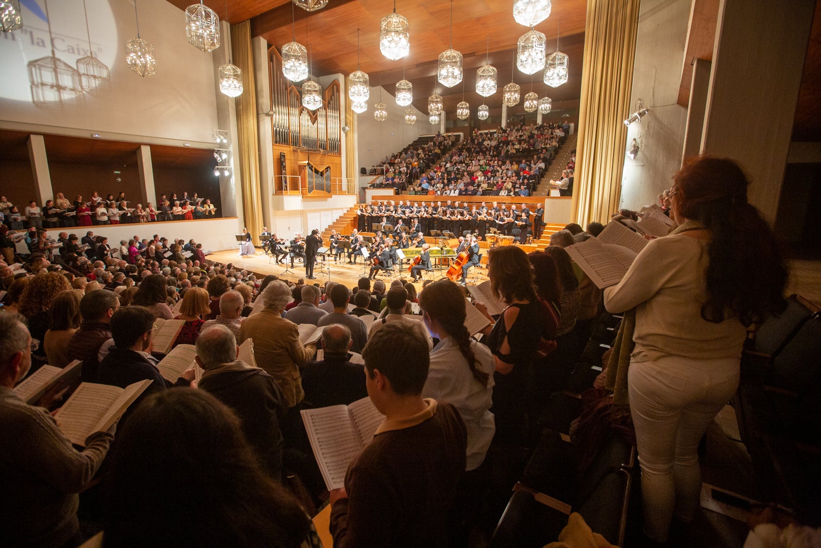 Interpretación de la OCG en las nocehs del viernes y el sábado