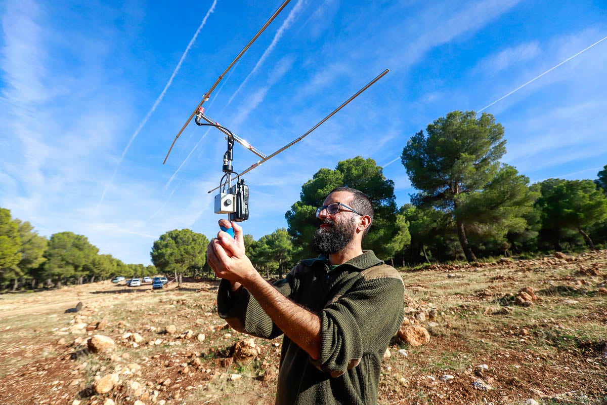 La Junta pone en libertad a dos machos y tres hembras para repoblar la Sierra de Arana