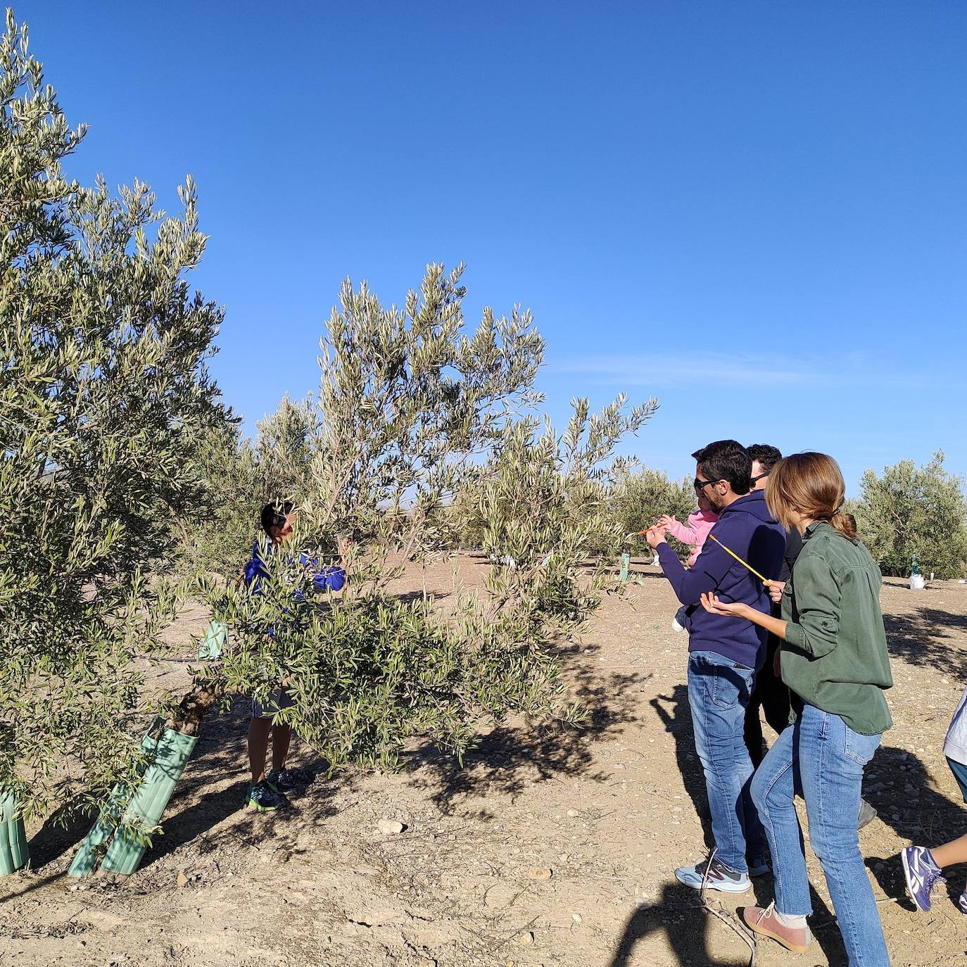 Yincana con niños y niñas y anillamiento científico. 