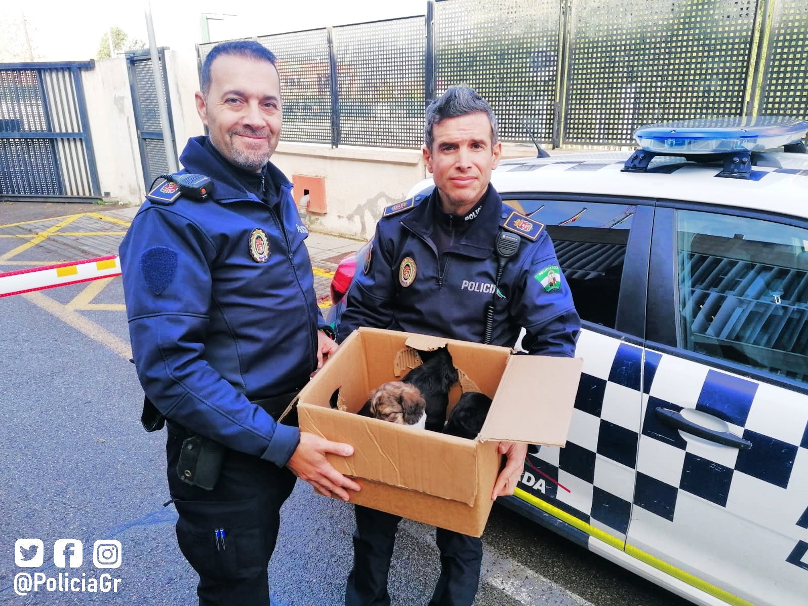Entrega de los cachorros a la Policía Local de Granada. 