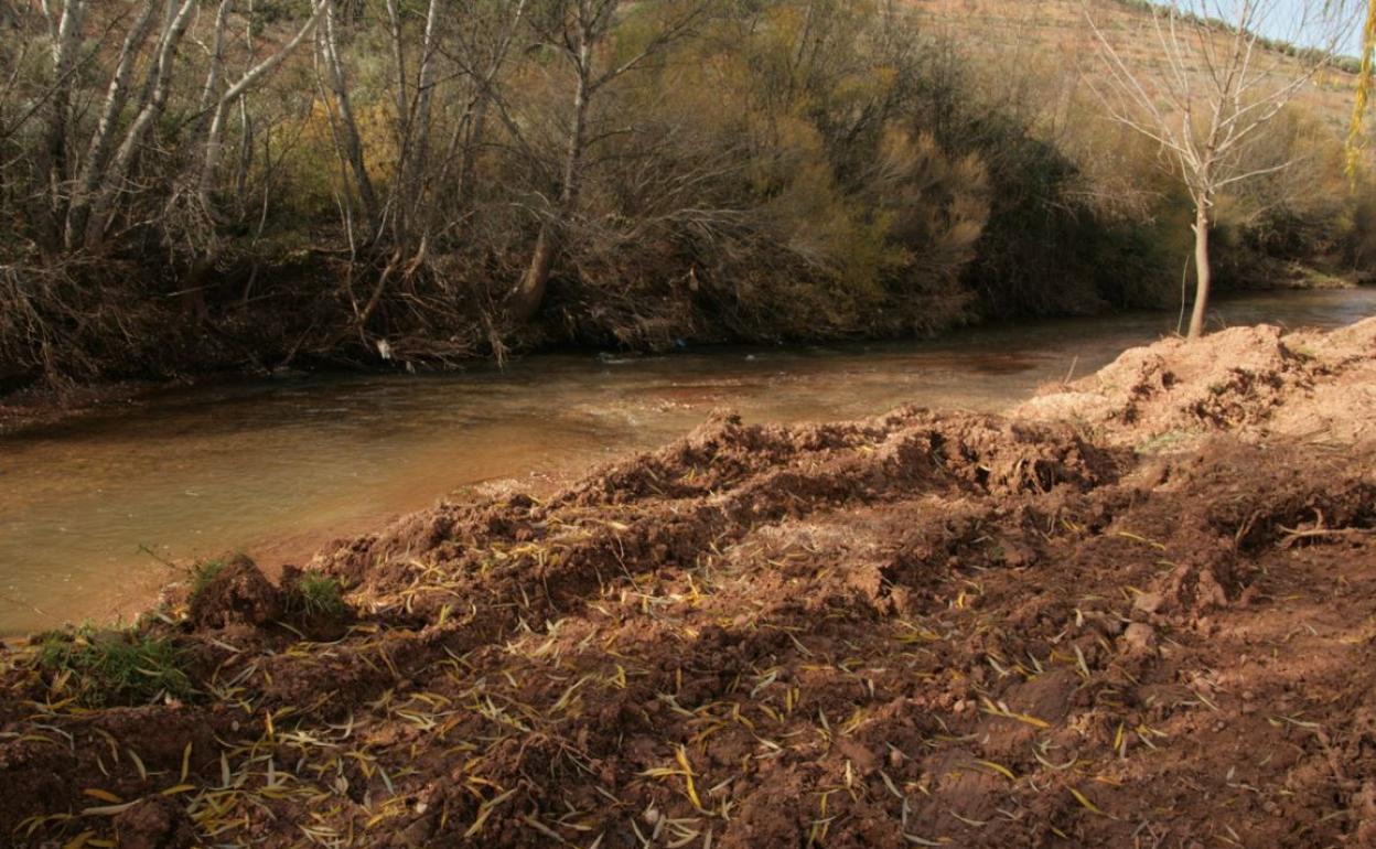 Orilla del río Guadalimar tras las obras. 