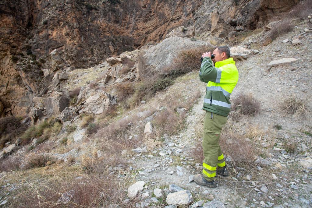 La búsqueda de Iván Montiel en Nigüelas