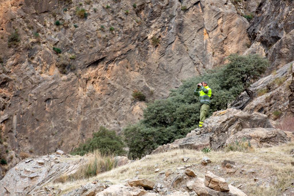 La búsqueda de Iván Montiel en Nigüelas