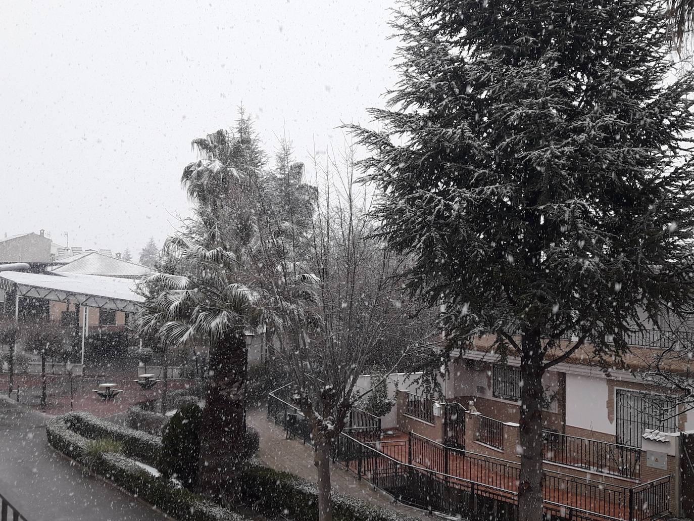 Nieve en Arbuniel.