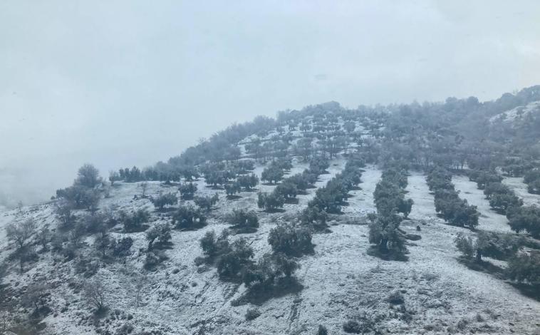 Imagen principal - Paisaje nevado al norte de Píñar.