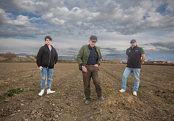 Manuel Megías (derecha), su padre del mismo nombre en el centro y su sobrino Aitor, tres generaciones de una familia de agricultores de Vegas del Genil.