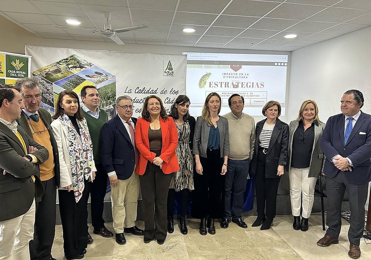 Andalucía lidera el relevo generacional en el campo tras superar la media nacional