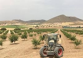 6.500 almerienses pueden solicitar ya la PAC