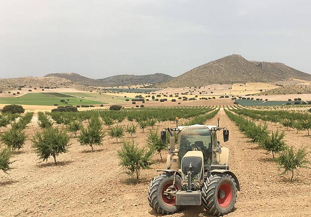 6.500 almerienses pueden solicitar ya la PAC