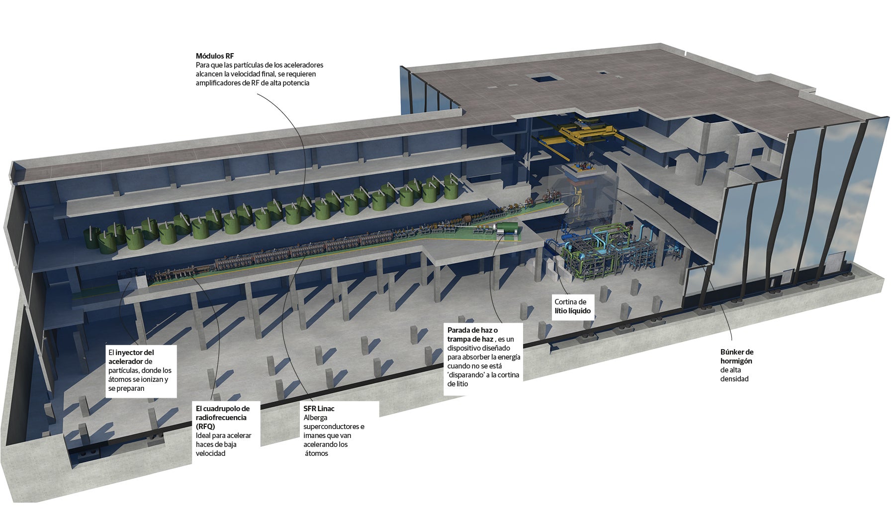 Imagen - Sección transversal del edificio principal de IFMIF-DONES.