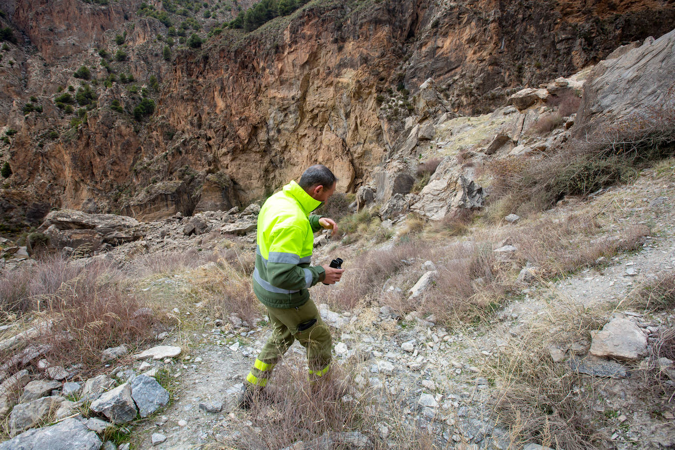 Agentes forestales buscando en una zona escarpada.