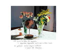 Foto del proyecto ganador del año pasado.