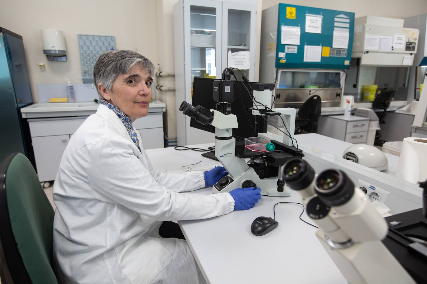 Fuencisla Matesanz, directora del Instituto de Parasitología y Biomedicina López-Neyra.