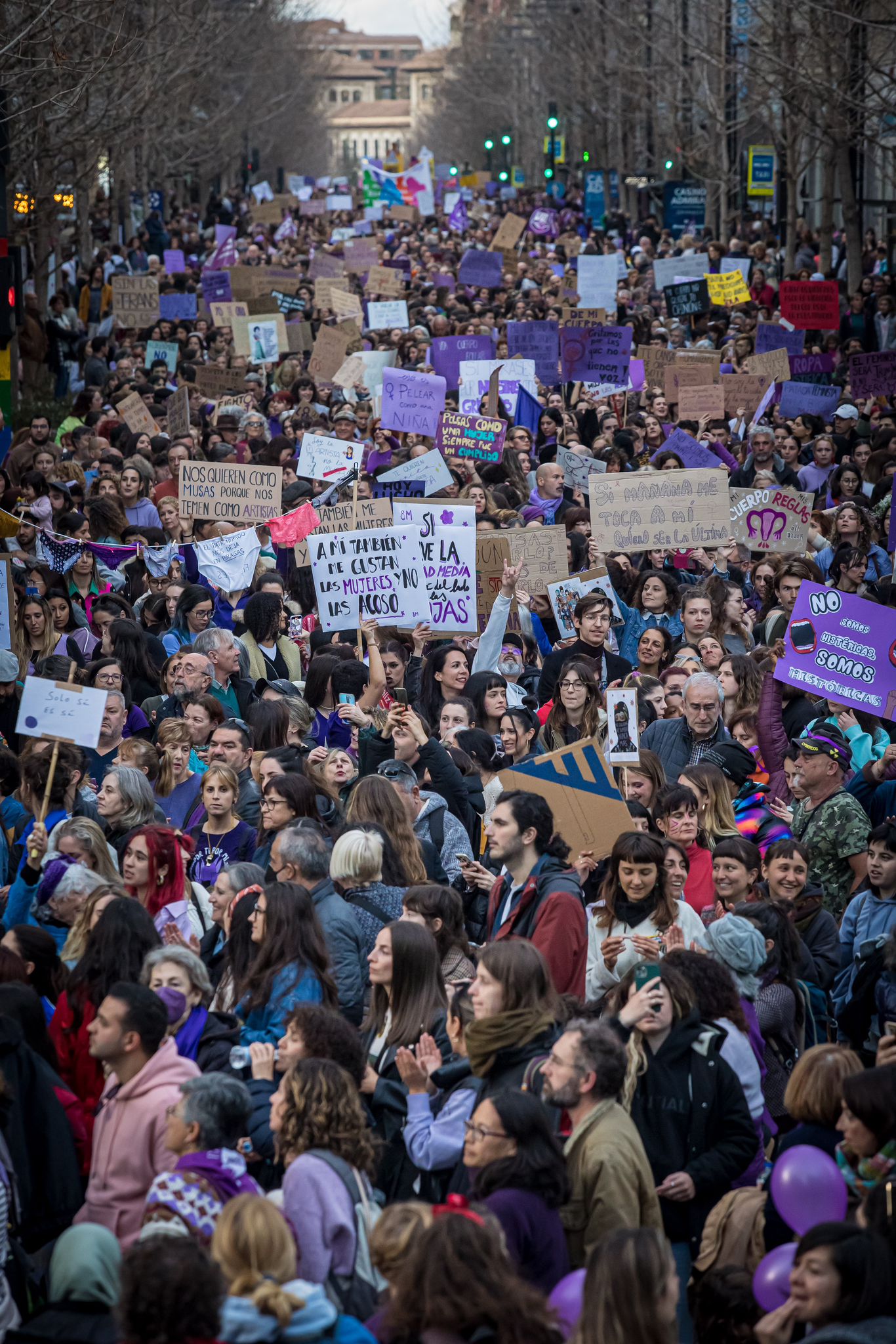 La marea morada se planta en las calles de Granada